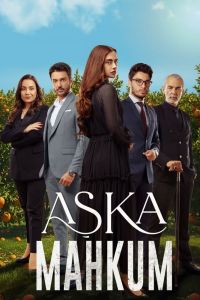 Сериал: Заключенный любви